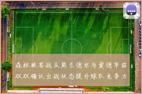 森林狼客战灰熊兰德尔与爱德华兹双双确认出战状态提升球队竞争力