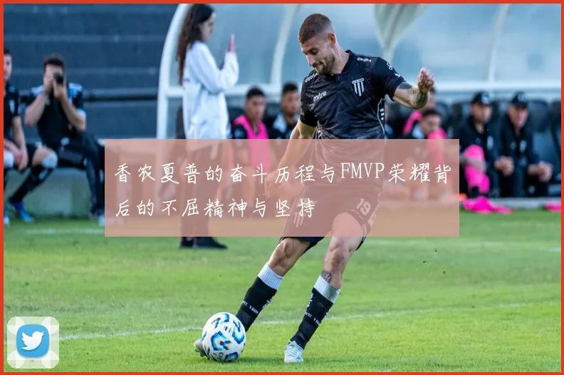 香农夏普的奋斗历程与FMVP荣耀背后的不屈精神与坚持